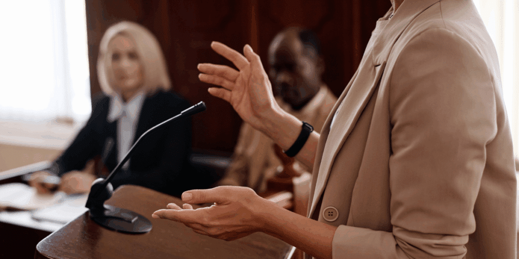 An appellate attorney in appeals court